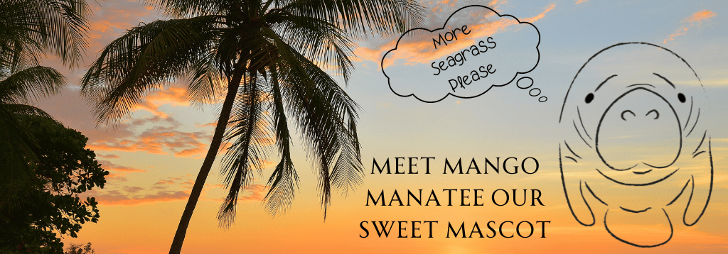 Women's Mango the Manatee T-Shirts