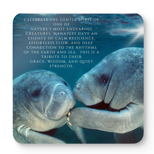 Manatee Tribute Corkwood Coaster Set | Coastal Living Essentials