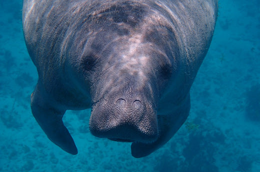 This-photo-was-taken-snorkeling.jpeg