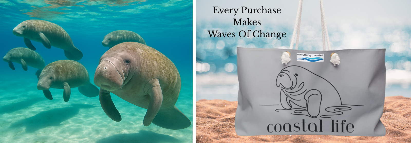 Women's Beach Bags & Totes