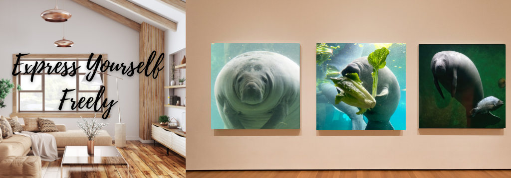 Canvas Prints