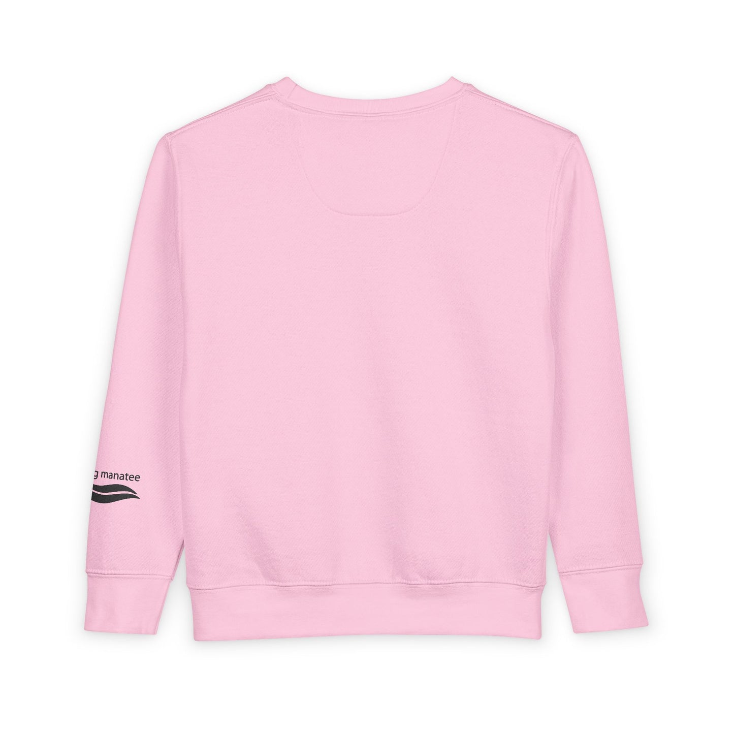 Pink sweatshirt on a white background