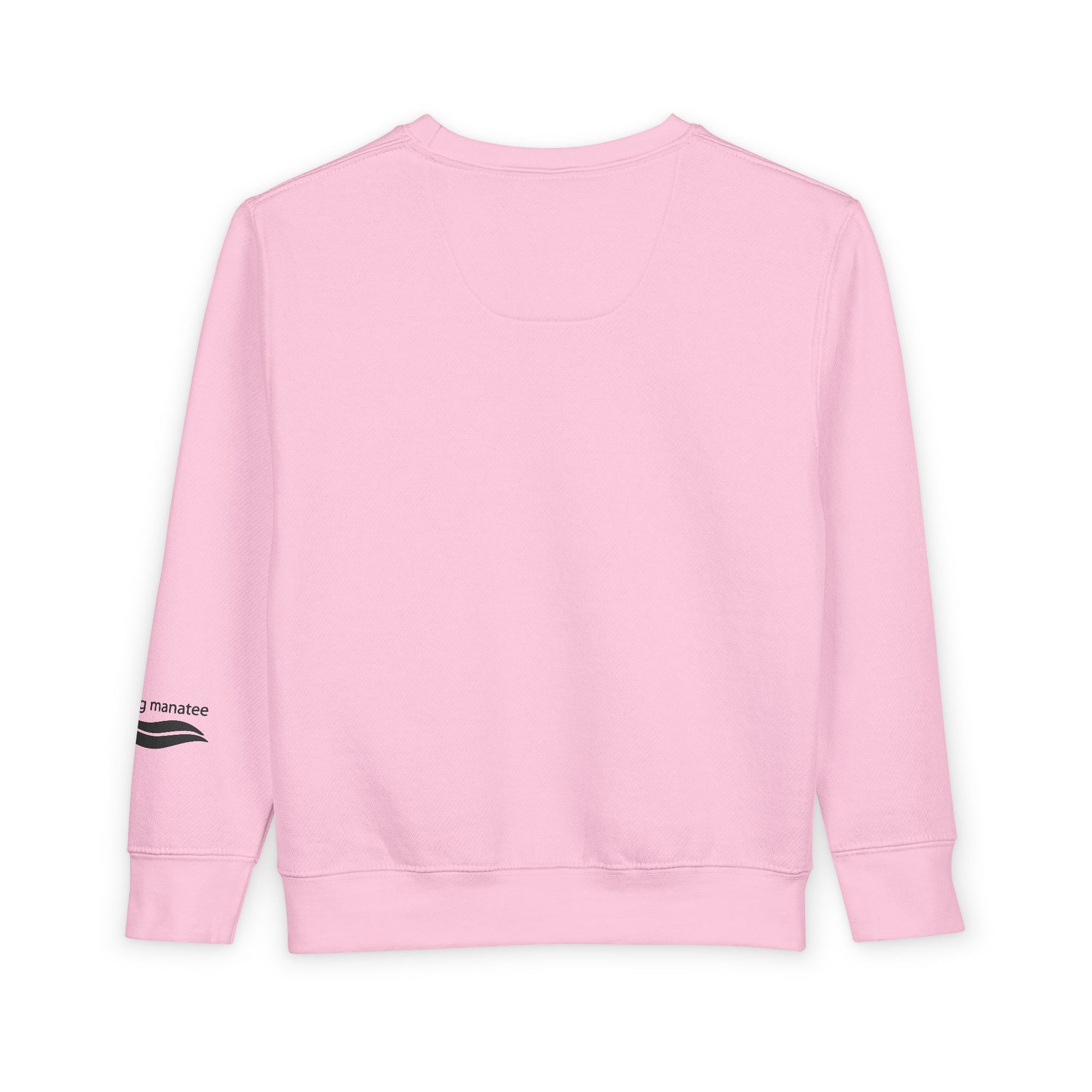 Pink sweatshirt on a white background