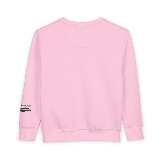 Pink sweatshirt on a white background
