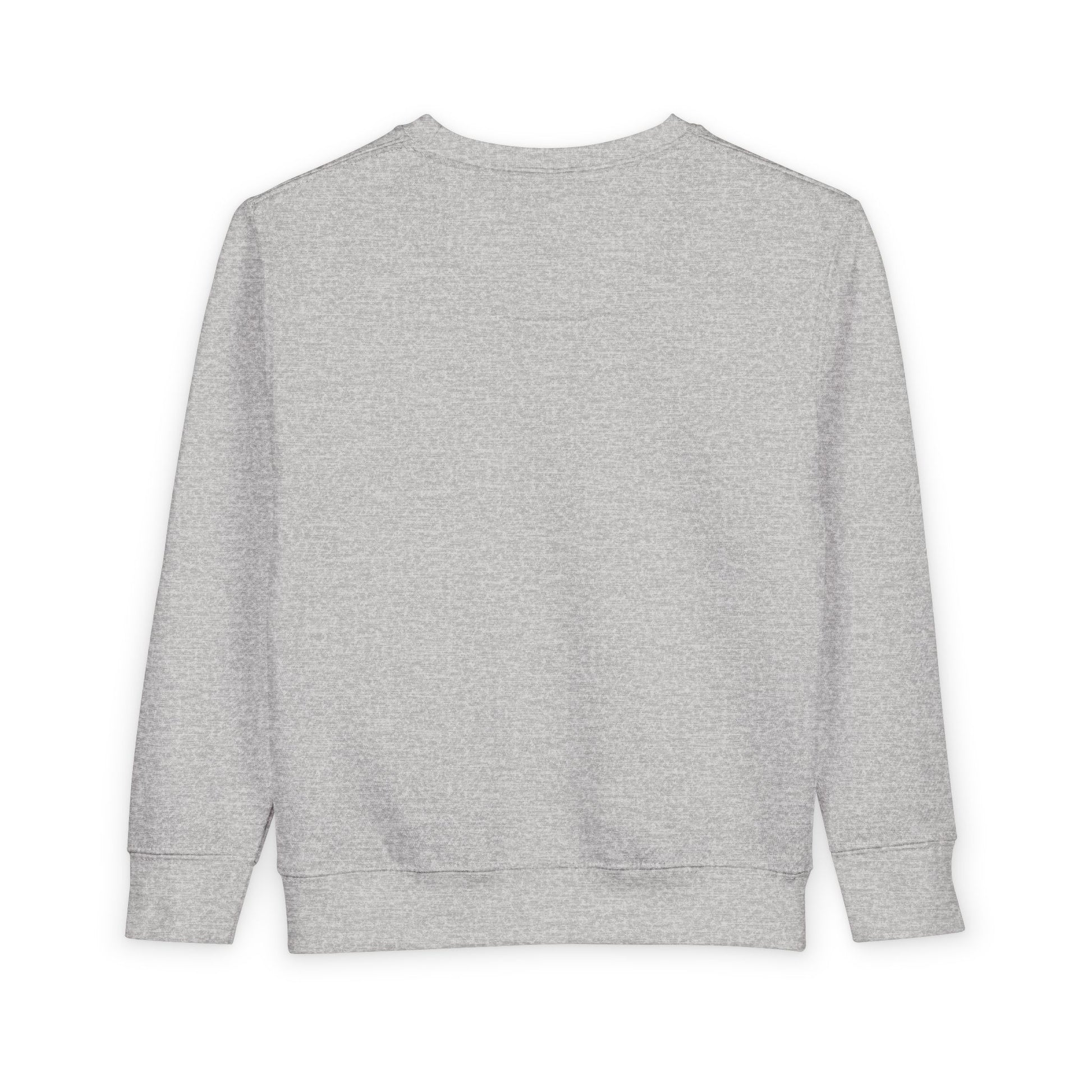 Gray sweatshirt on a white background