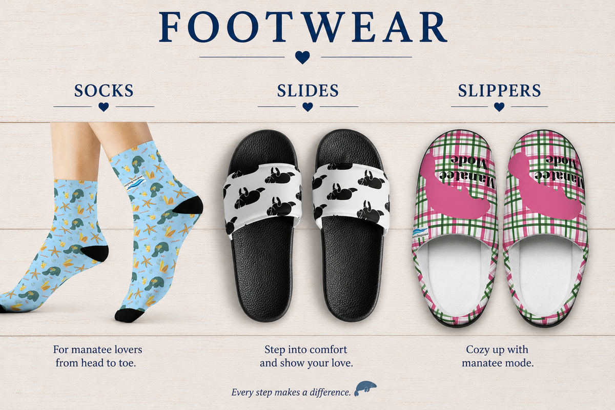 Footwear