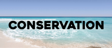 CONSERVATION