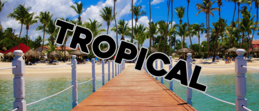 TROPICAL