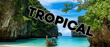 TROPICAL