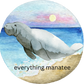 Sunset Manatee Hoodie | Youth